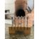 Churrasco